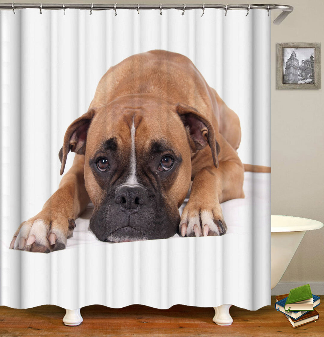 Cute Sad Young Boxer Shower Curtain