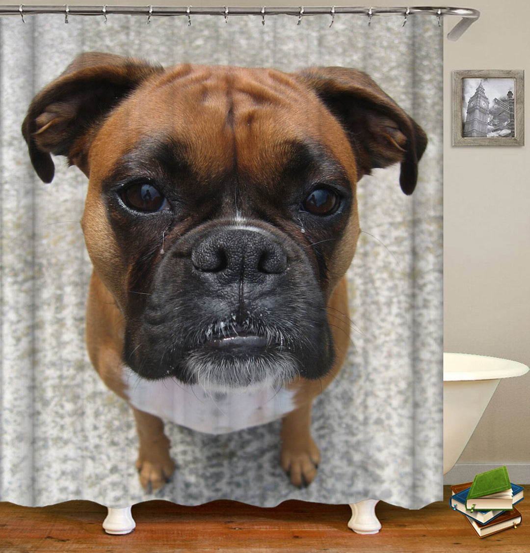 Dog Shower Curtain Cute Young Boxer