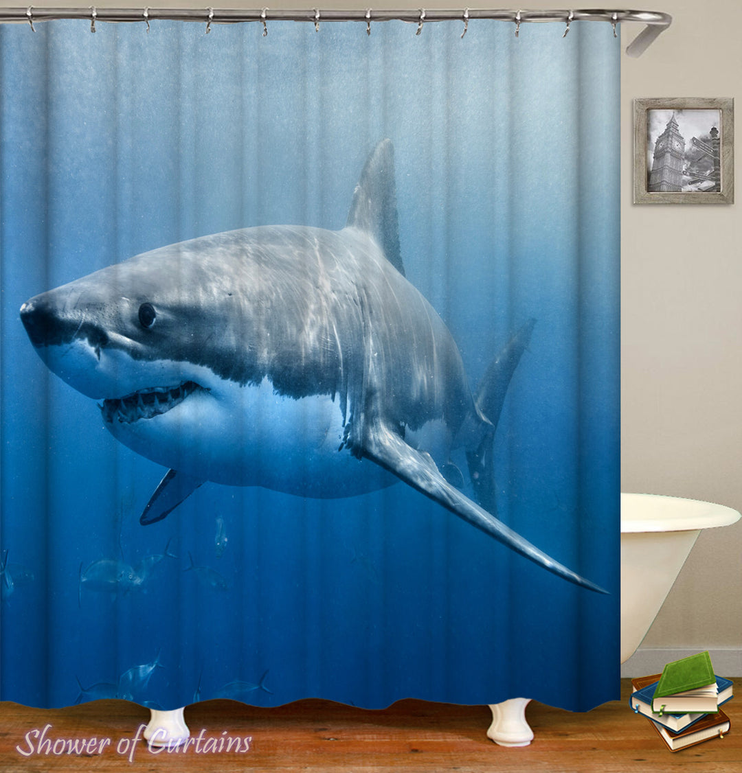 Shark Bath Curtain -  Canada