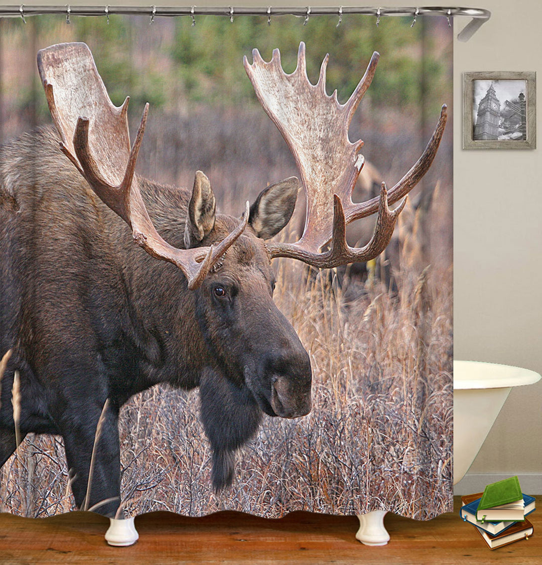 Wild Animals the Moose Shower Curtain